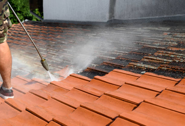 Best Pressure Washing Brick  in Fullerton, NE