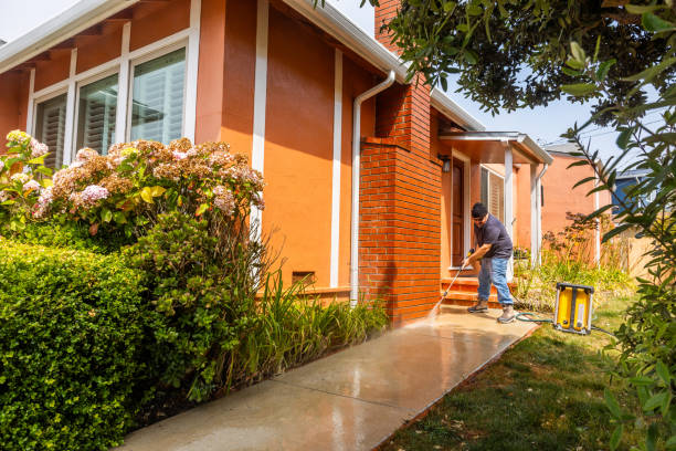 Best Pressure Washing Patio  in Fullerton, NE